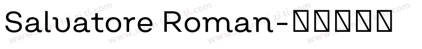 Salvatore Roman字体转换